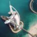Pegasus: The Hybrid Aircraft with more than 2,000 Kilometers of Autonomy
