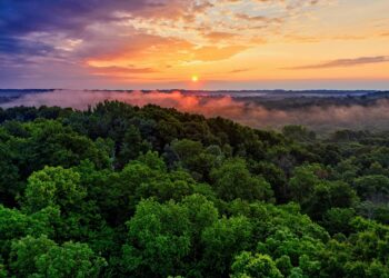 Extreme E: Committed to the Amazon