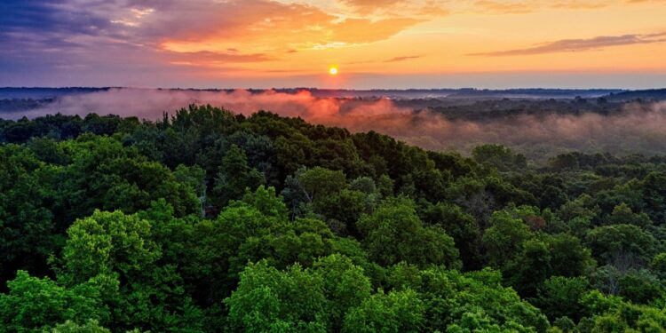 Extreme E: Committed to the Amazon