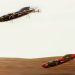 Closer and closer: Airspeeder performed first endurance test between teams